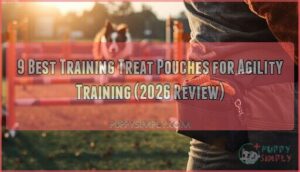 training treat pouches for agility training