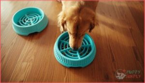 use puzzle bowls and slow feeders use puzzle bowls and slow feeders