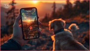 user interface and app functionality user interface and app functionality