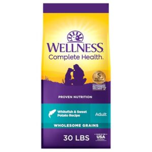 Wellness Complete Health Dry Dog B0002I0GWW