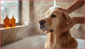 what safety tips should i follow when bathing my dog what safety tips should i follow when bathing my dog