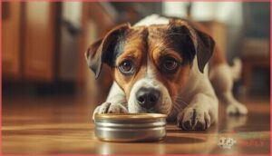 what to do if your dog eats too much tuna what to do if your dog eats too much tuna