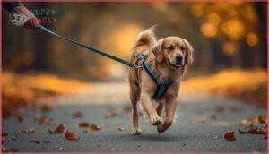 what to do when your dog starts pulling what to do when your dog starts pulling