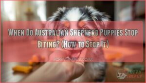 when do australian shepherd puppies stop biting and how can i stop it when do australian shepherd puppies stop biting and how can i stop it