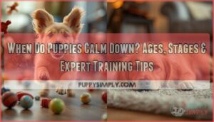 when do puppies calm down