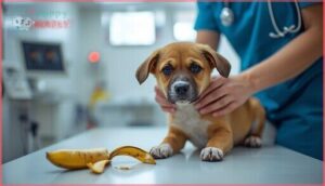 when to call the veterinarian when to call the veterinarian