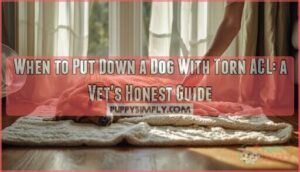when to put down dog with torn acl when to put down dog with torn acl