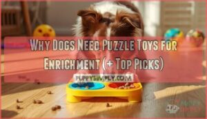 why dogs need puzzle toys for enrichment why dogs need puzzle toys for enrichment