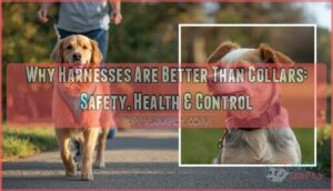 why harnesses are better than collars