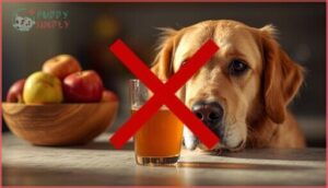 why is apple juice unsafe for dogs why is apple juice unsafe for dogs