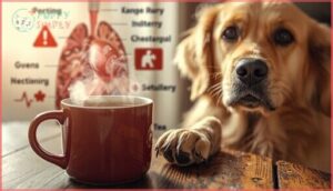 why is caffeine dangerous for dogs why is caffeine dangerous for dogs