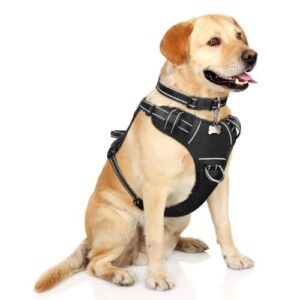 WINSEE Dog Harness No Pull, B07DNBXGWP