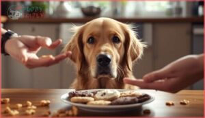 are biscuits safe for dogs are biscuits safe for dogs