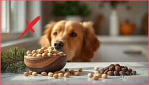 are pine nuts toxic to dogs are pine nuts toxic to dogs