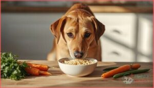 are plain ramen noodles safe for dogs are plain ramen noodles safe for dogs
