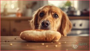 are there health risks for dogs are there health risks for dogs