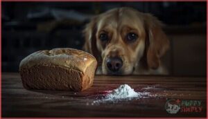 artificial sweeteners artificial sweeteners