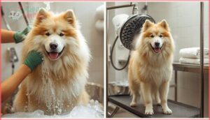 bathing and proper drying methods bathing and proper drying methods