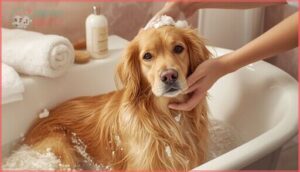 bathing tips for silky-coated dogs bathing tips for silky-coated dogs