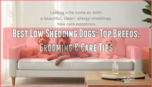 best low shedding dogs
