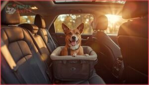 best seat position in your suv for pets best seat position in your suv for pets