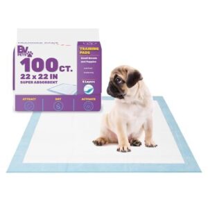 BV Puppy Pads Leak Proof 100 B01MDSD2A6
