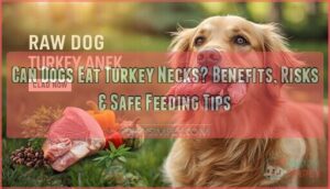 can dogs eat a turkey neck can dogs eat a turkey neck
