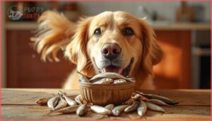 can dogs eat anchovies can dogs eat anchovies