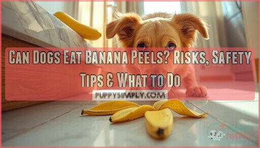 Picture of Can Dogs Eat Banana Peels? Risks, Safety Tips & What to Do