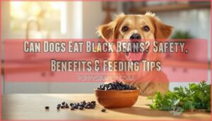 can dogs eat black beans can dogs eat black beans
