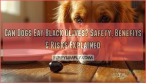 can dogs eat black olives can dogs eat black olives