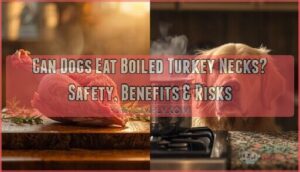 can dogs eat boiled turkey necks can dogs eat boiled turkey necks