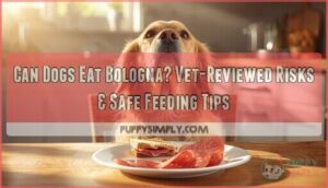 can dogs eat bologna can dogs eat bologna