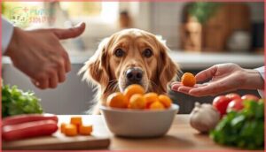 can dogs eat cheese balls safely can dogs eat cheese balls safely