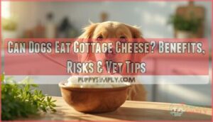 can dogs eat cottage cheese can dogs eat cottage cheese