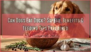 can dogs eat duck can dogs eat duck