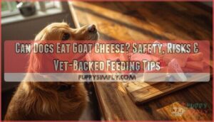 can dogs eat goat cheese can dogs eat goat cheese