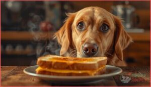 can dogs eat grilled cheese can dogs eat grilled cheese