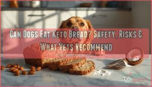 can dogs eat keto bread can dogs eat keto bread