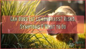 can dogs eat lemongrass can dogs eat lemongrass