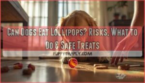 can dogs eat lollipop can dogs eat lollipop