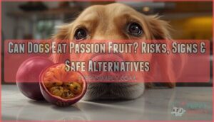 can dogs eat passion fruit can dogs eat passion fruit
