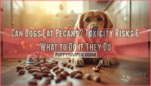 can dogs eat pecans can dogs eat pecans