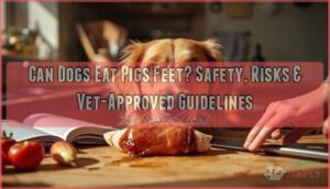 can dogs eat pigs feet can dogs eat pigs feet