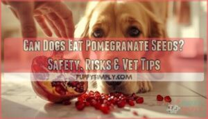 can dogs eat pomegranate seeds can dogs eat pomegranate seeds