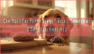 can dogs eat poppy seed can dogs eat poppy seed