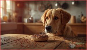 can dogs eat poppy seeds can dogs eat poppy seeds