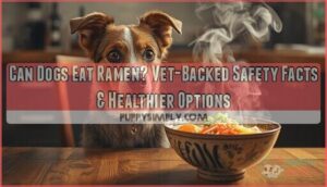 can dogs eat ramen can dogs eat ramen