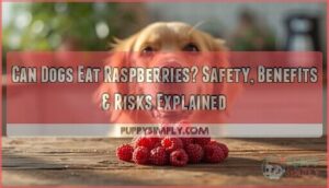 can dogs eat raspberries can dogs eat raspberries
