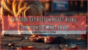 can dogs eat rotten meat can dogs eat rotten meat